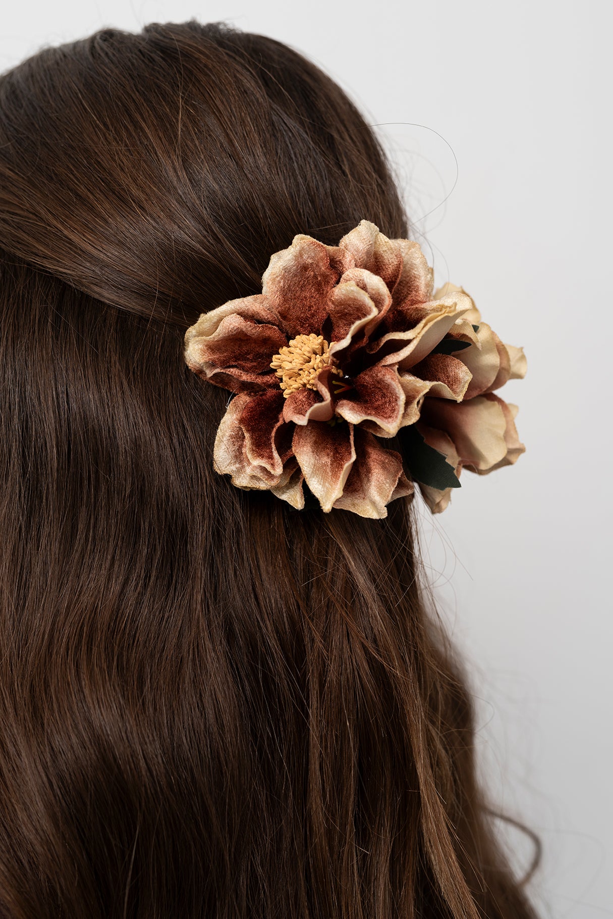 Brown and Beige Flower